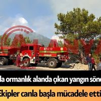 Alanya