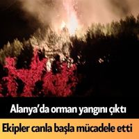 Alanya