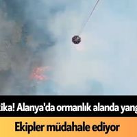 Alanya