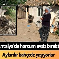 Yaşam