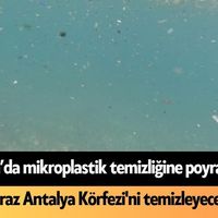 Sağlık