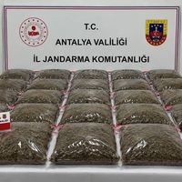 Asayiş