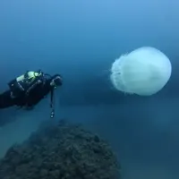 Antalya
