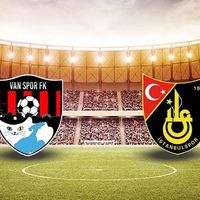 Spor