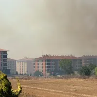 Asayiş