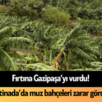 Alanya