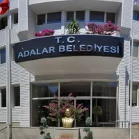 Siyaset