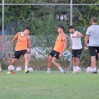 Spor