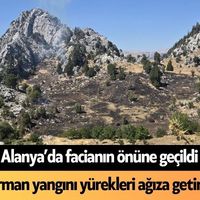 Alanya