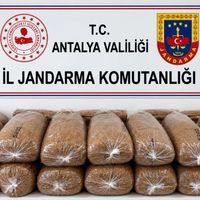 Alanya