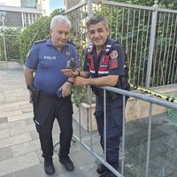 Alanya
