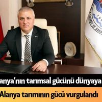 Alanya
