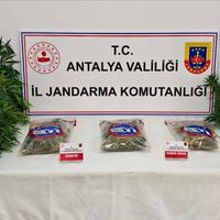 Asayiş