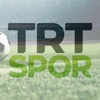 Spor
