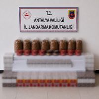 Asayiş
