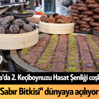 Alanya