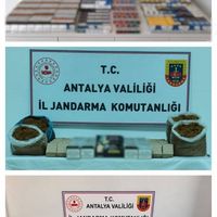 Alanya
