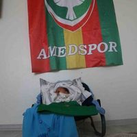 Spor