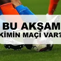Spor
