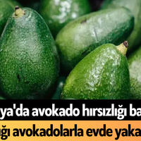Asayiş