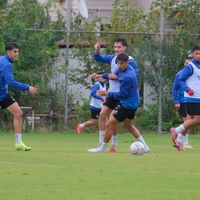 Spor
