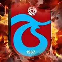 Spor