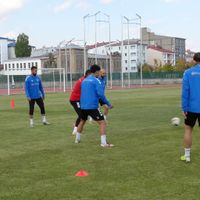 Spor