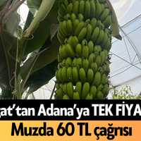 Alanya