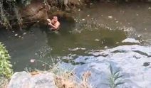 Derede mahsur kalan kaplumbağayı yüzerek kurtardı