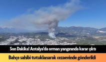 Kızılcahamam-Çerkeş sınırında orman yangını! Ekipler müdahaleye başladı