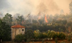 Antalya'daki orman yangının nedeni belli oldu