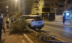 Alkollü gurbetçi Alanya'da trafiği birbirine kattı