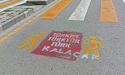 Trafik işaretlerine yazılan Kürtçe yazılar şehri ayağa kaldırdı