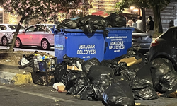Mahallelinin çöple imtihanı: Şikayet üstüne şikayet yağıyor
