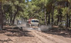 Orman yangınları için seferber oldular: Her yer temizlendi