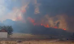 Korkutan orman yangını! Bir köy boşaltıldı