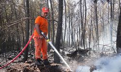 Antalya'da yangında 3 sera ve ormanlık alan zarar gördü