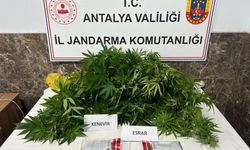 Alanya'da jandarma evin bahçesinde yakaladı!