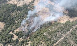 Antalya'da arka arkaya yangınlar! Müdahale başladı