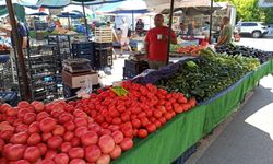 Antalya'da domatesi pahalıya yiyeceğiz