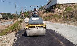 Alanya'da kırsalda bakım var