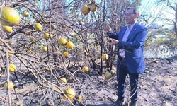 Alanya'da bu sigortayı yaptıran yaşadı: Yüzde 50'sini devlet karşılıyor