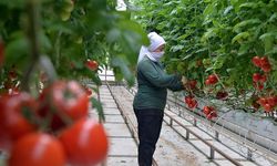 Antalya'dan daha rekabetçi fiyata sahip!