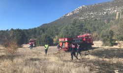 Antalya'da arazide yapılan temizlik yangına neden oldu: 10 dönüm arazi küle döndü