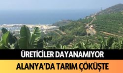 Üreticiler dayanamıyor: Alanya'da tarım çöküşte