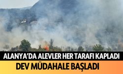 Alanya'da dumanlar her tarafı kapladı: Dev müdahale başladı