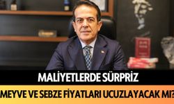 Maliyetlerde sürpriz: Alanya'da meyve ve sebze fiyatları ucuzlayacak mı?