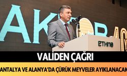 Validen çağrı: Antalya ve Alanya'da çürük meyveler ayıklanacak