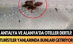 Antalya ve Alanya'da oteller dertli! Turistler yanlarında bunları getiriyor