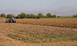 Tarlada çalışacak işçi bulamadı! 3 bin 500 kilometre yol yapıyor